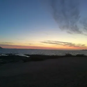 https://hormigas.in-canary-islands.com
